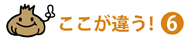 ここが違う！⑥