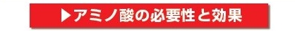 アミノ酸の必要性と効果