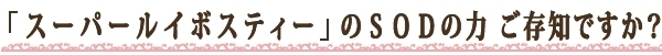 SODの力 ご存知ですか？