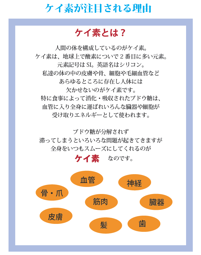 ���n���P�C�f �E�����C�t