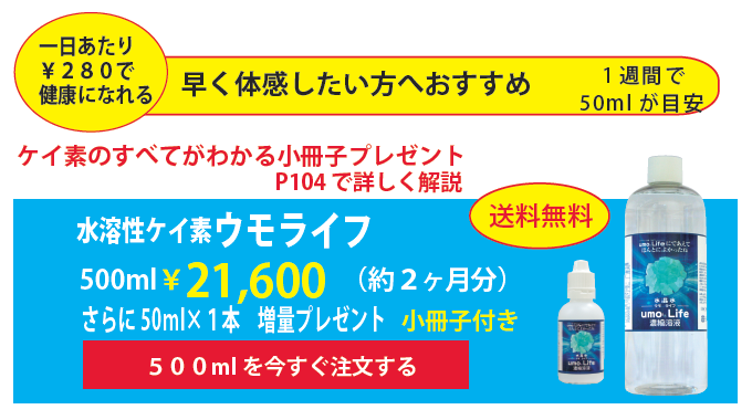 ���n���P�C�f �E�����C�t