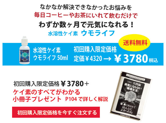 ���n���P�C�f �E�����C�t